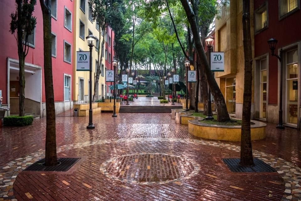 El ITAM informó que los exámenes finales del semestre en curso se realizarán presencialmente en diciembre de 2021 y enero de 2022.
