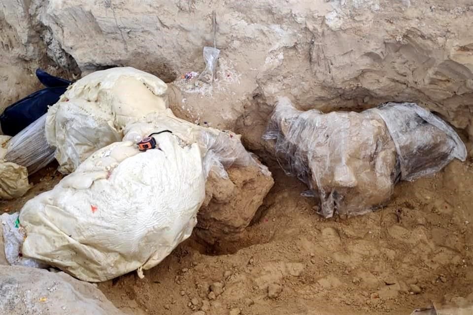 El cráneo se sacó inmerso en un cuadro de sedimento y será limpiado en laboratorio para su análisis.