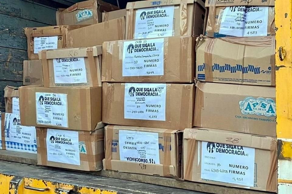 Las firmas fueron llevadas en cajas a la sede del INE.