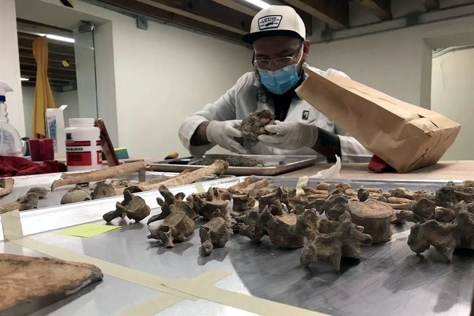 El equipo de expertos del INAH ha analizado 10 de los 17 entierros, e identificado la presencia de 15 individuos, en su mayoría adultos medios y mayores, tanto mujeres como hombres.