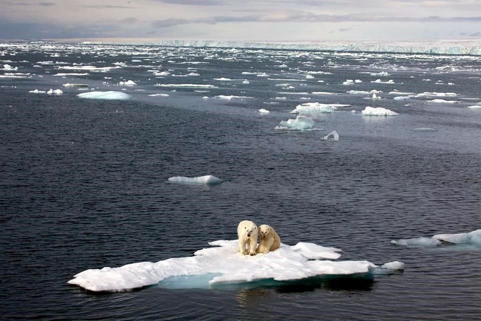 La ONU confirmó que el Ártico registró en 2020 una temperatura récord de 38 grados Celsius, una 'alarma' sobre cambio climático.