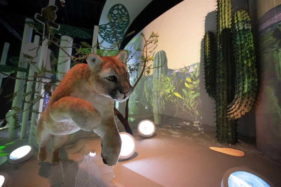 El Pabellón Nacional de la Biodiversidad se encuentra en el Centro Cultural Universitario de la UNAM.