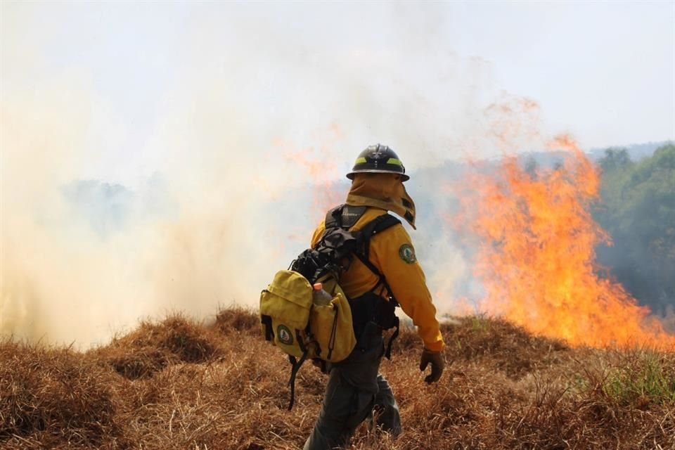 'Mayo es el mes con más incendios, pero ya en junio disminuyen mucho y lo que estamos viendo es que en este momento hay más incendios', indicó especialista de la UNAM.