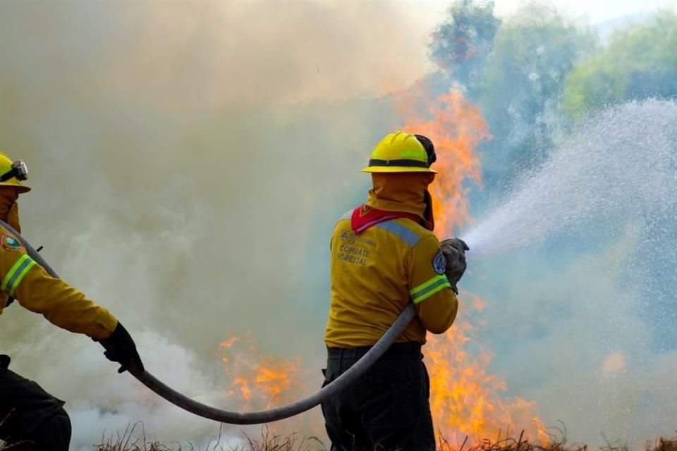 'Para atender los incendios forestales, se puso en marcha el Programa de Manejo del Fuego en el Suelo de Conservación', dijo la Sedema.
