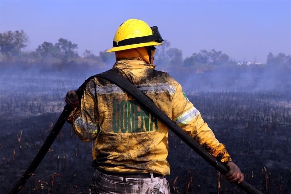 El combate a incendios forestales requirió capacitación, inversión en equipo y apoyo a los brigadistas en actividades de monitoreo, limpieza y apertura de brechas cortafuego.