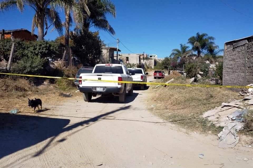 El primer homicidio del 2022 en la ZMG ocurrió cerca del Bosque de la Primavera, en la Colonia Lomas del Tizate, en Zapopan.