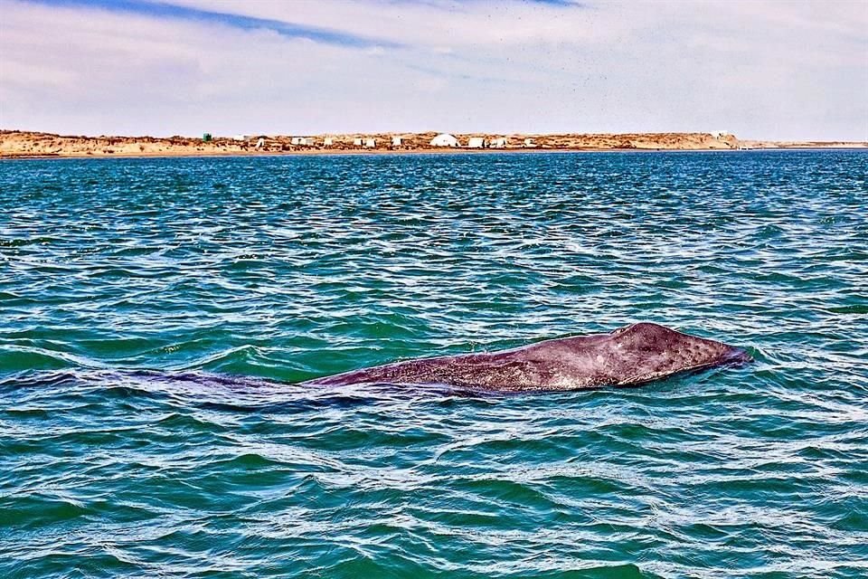 Baja California.