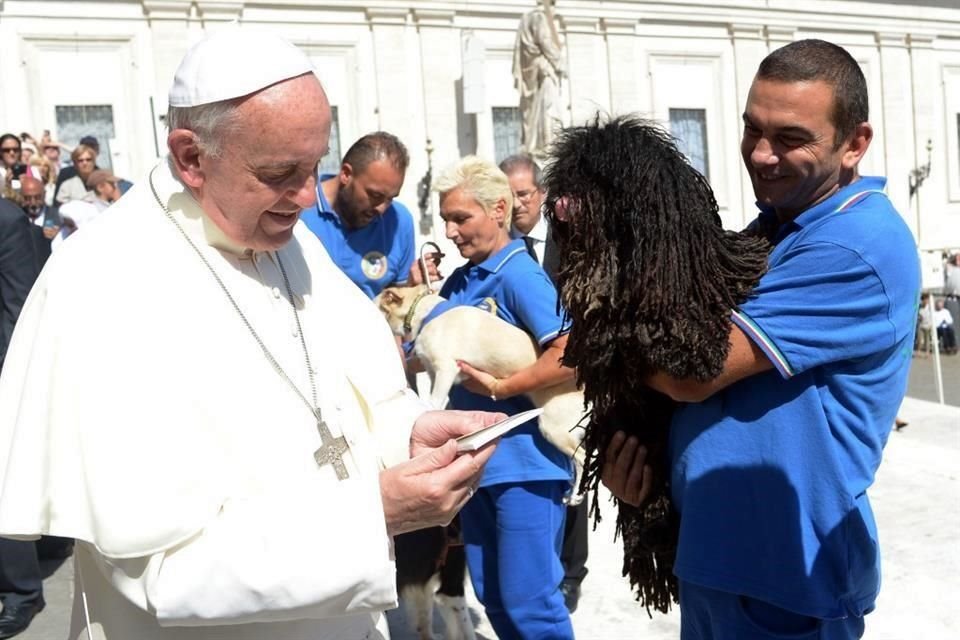 El Papa lamentó que las parejas prefieran mascotas a tener hijos.