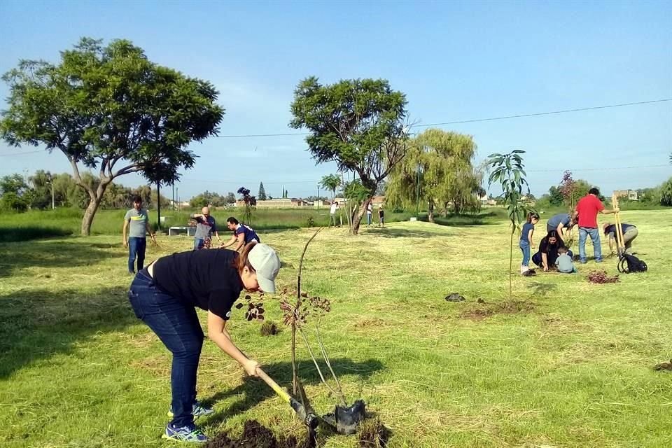 Las mujeres tienen más sensibilidad en temas de sustentabilidad.