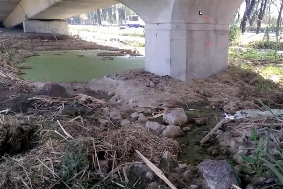 Las aves que antes de las obras se observaban en el humedal, dejaron de acudir al bajopuente en funcionamiento desde septiembre.