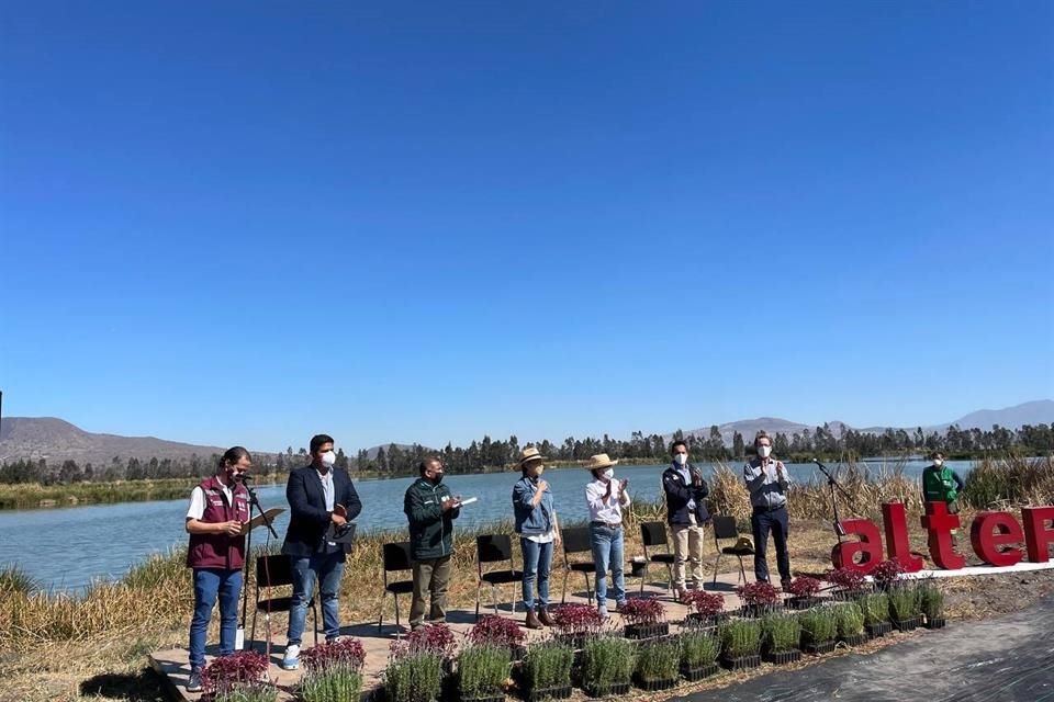 De 800 brigadistas que había, ahora laboran 13 mil personas que representan 150 mil familias del suelo de conservación, quienes limpiaron a mano 450 kilómetros de canales en Xochimilco.