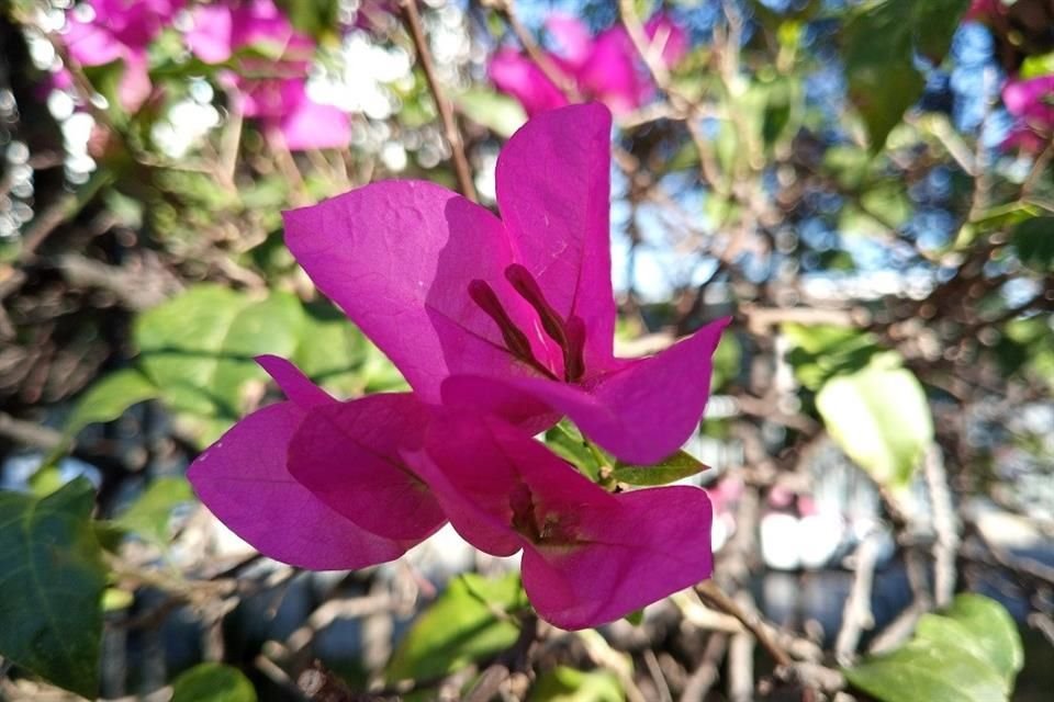 Llevarlo en la mano se siente agradable por los laterales curvos y esquinas redondeadas.