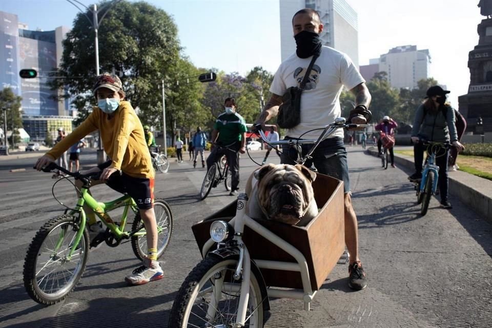 El ITDP impulsa dos proyectos de movilidad que utilizan la bicicleta para satisfacer las necesidades de traslado de los capitalinos.