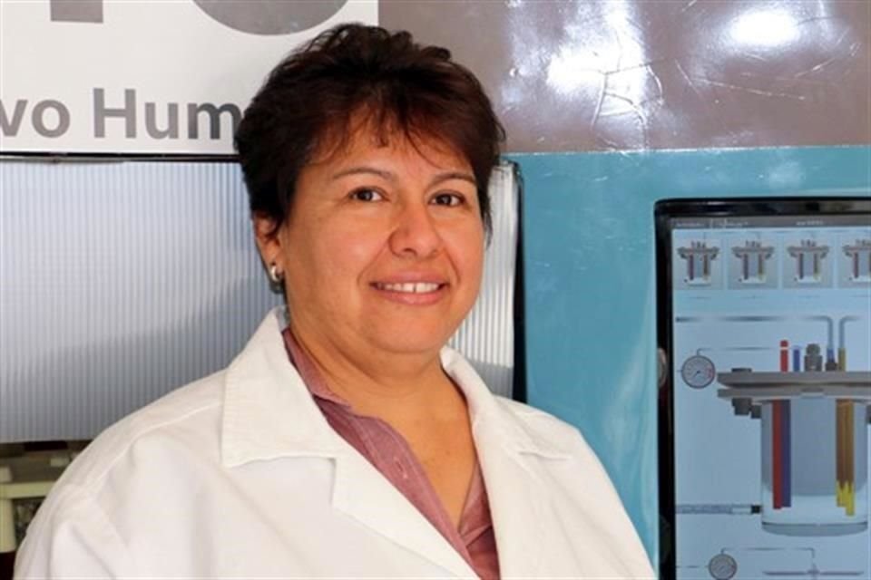 Marisela González, ha generado 12 patentes nacionales vinculadas al proceso de estabilización de microbiota intestinal.