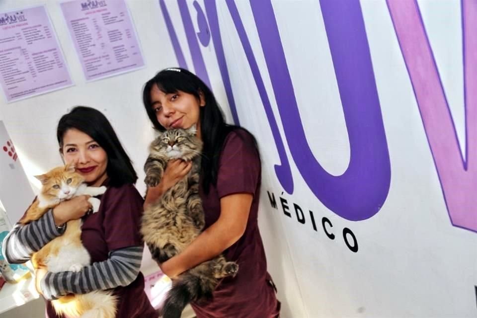 Las veterinarias Diana Lizbeth Bocanegra Morando y Felícitas Esther Olvera Álvarez aconsejan estar al pendiente de los felinos.