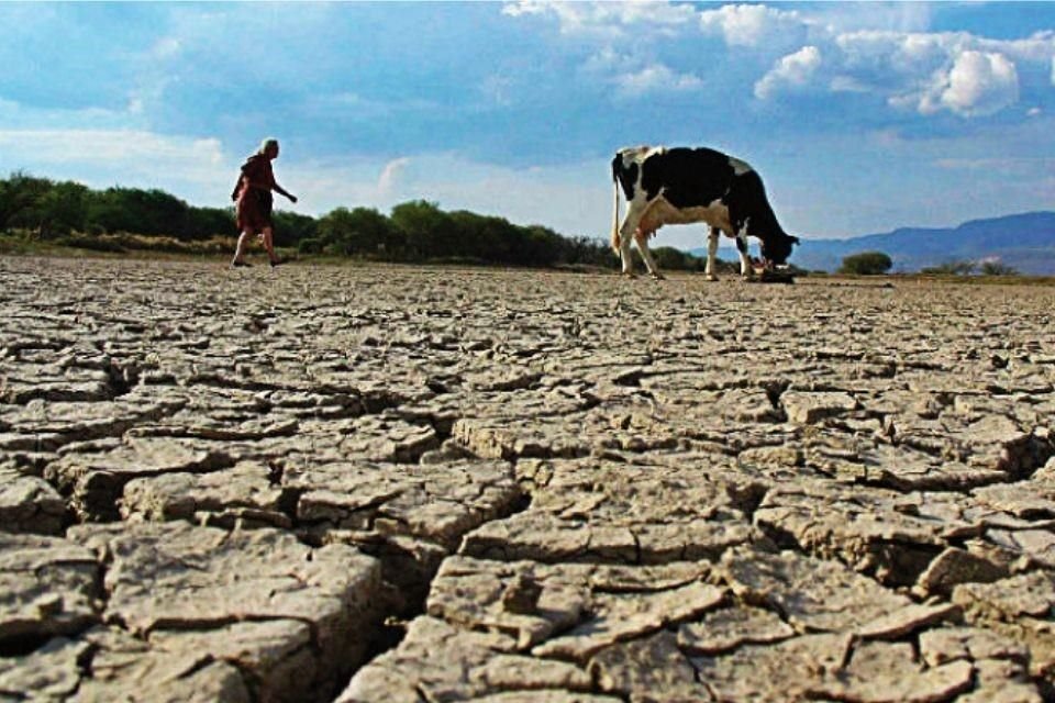 Escasez de agua, aumento del nivel del mar e incendios forestales son amenazas del cambio climático en México, según reporte del IPCC.