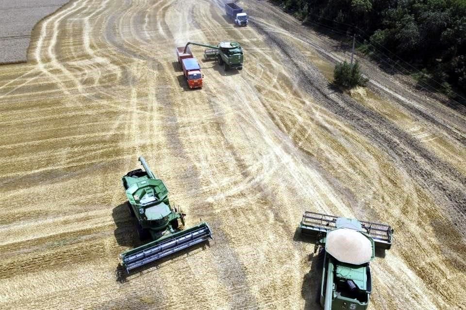 Los precios del trigo se están negociando a sus niveles más altos desde marzo de 2008.