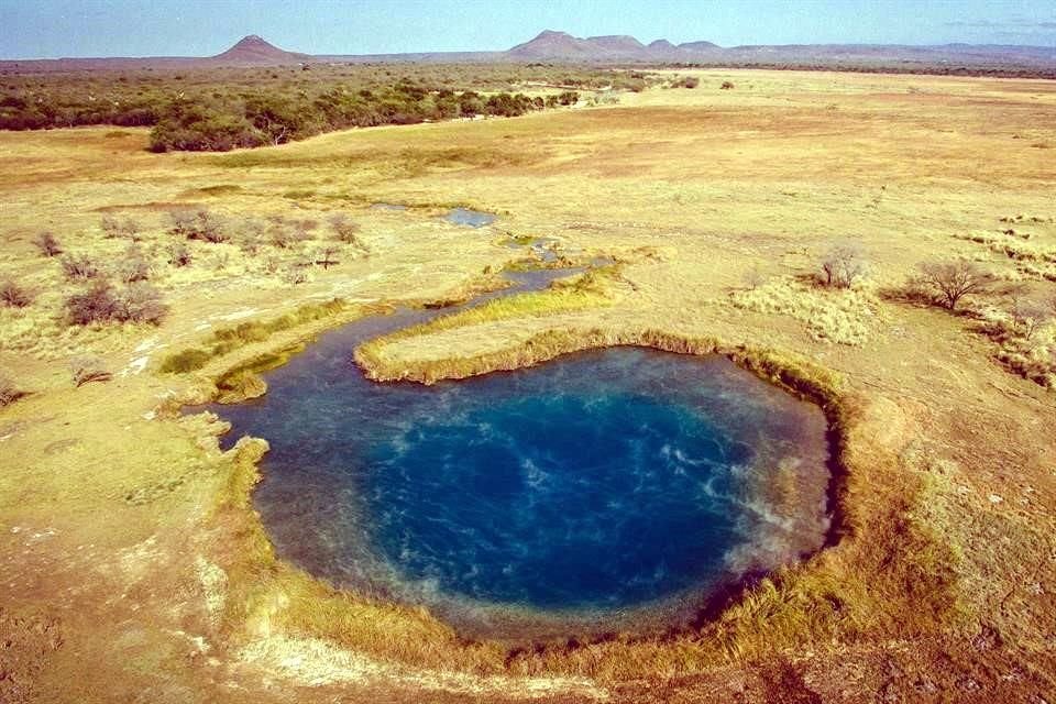 La reserva cuenta con una poza de aguas termales donde habitan especies únicas.