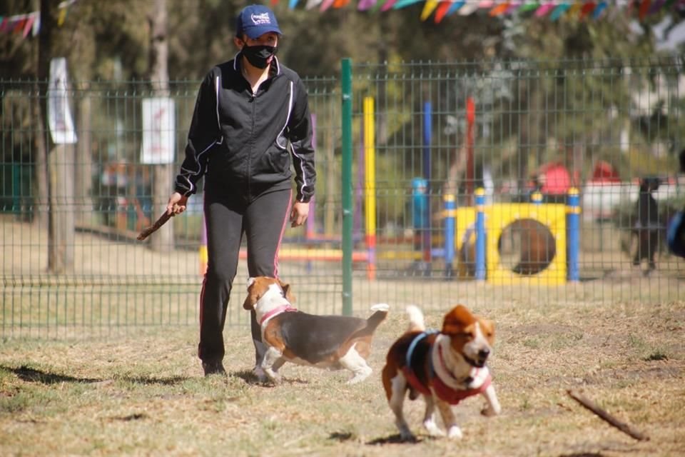 Los perros pueden correr en el parque, explorar los juegos instalados y convivir con otros canes.