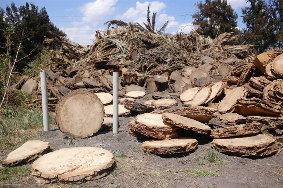 Autoridades capitalinas habían asegurado que los residuos serían colocados en fosas.