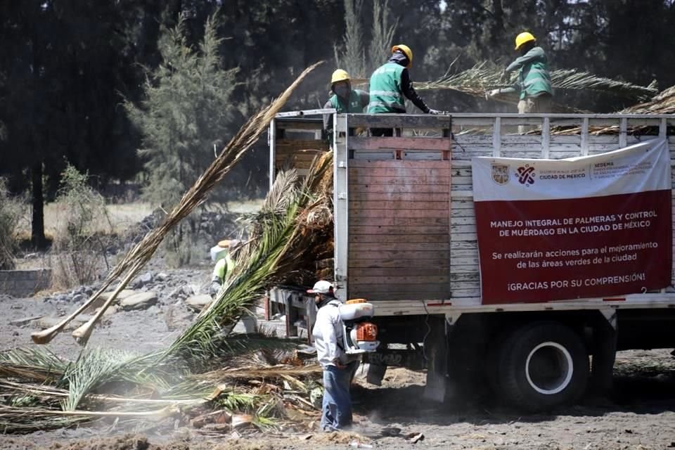 Funcionarios de Sedema realizaron un recorrido en el Vivero Nezahualcóyotl, ubicado en Cuemanco, Xochimilco, en donde destinaron un espacio para aplicar tratamiento, triturar y enterrar desperdicios.