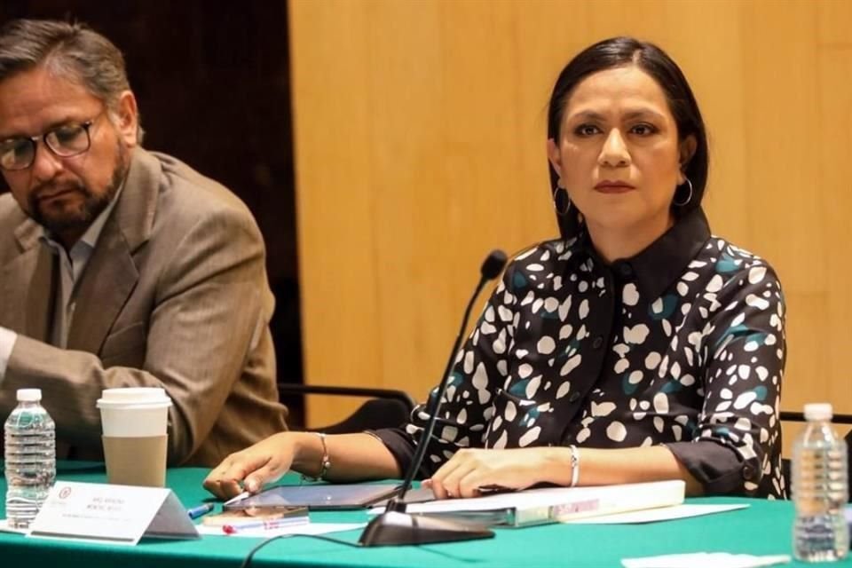 La Secretaria del Bienestar acudió a la Cámara de Diputados, donde abogó por evitar el embargo de apoyos sociales.