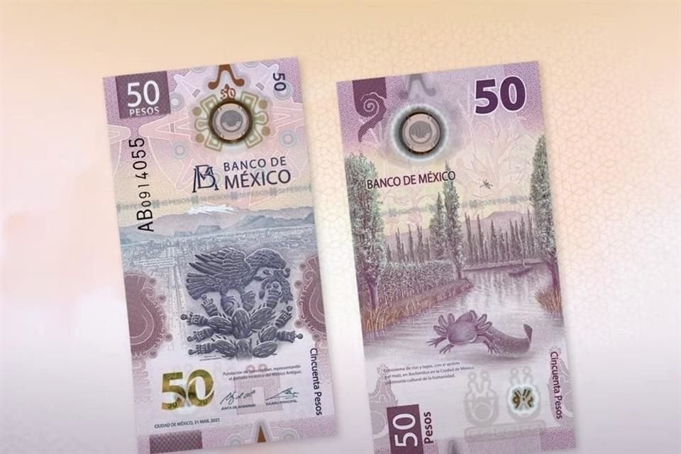 En el reverso del billete galardonado se representa el ecosistema de ríos y lagos con el ajolote y el maíz en Xochimilco.