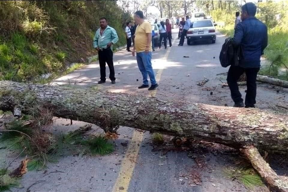 Con el asfalto destrozado y árboles tirados sobre la vía federal 199, desde ayer habitantes de Ocosingo mantienen un bloqueo por un conflicto agrario.