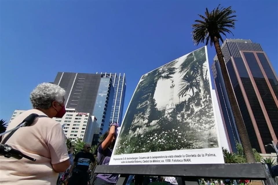 Este domingo se ha rendido homenaje a la palmera de más de 100 años, antes de que sea retirada.