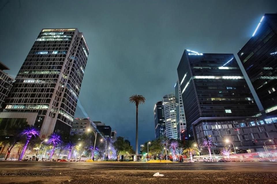 Con cerca de una hora de retraso de lo que se había anunciado, comenzaron las obras para el derribo y retiro de la palmera en la Glorieta de la Palma, en Reforma.