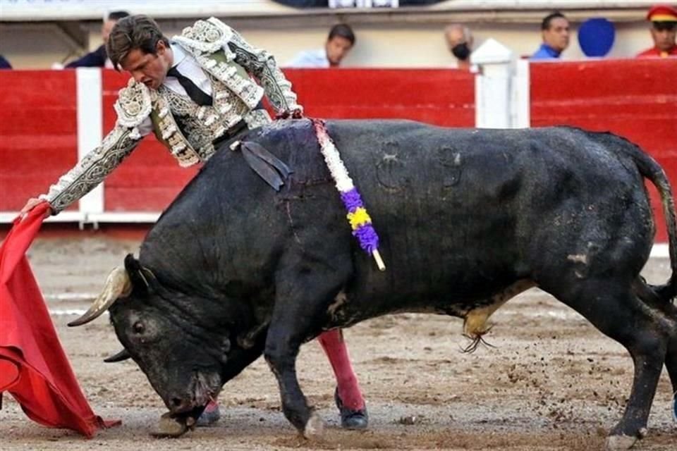 El matador de toros español emocionó al público con buenos lances.