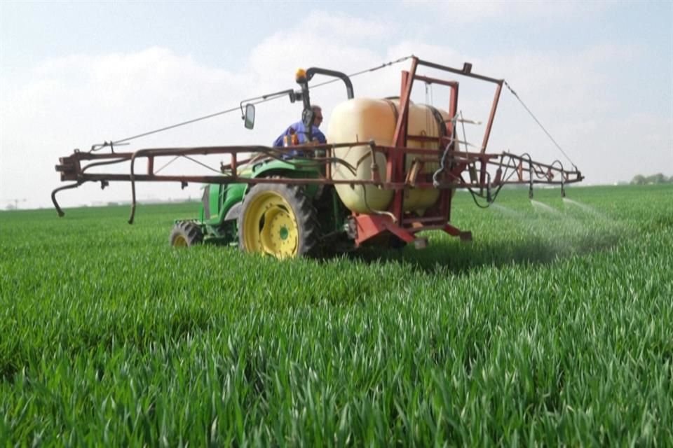 Sin el uso de fertilizantes químicos la población mundial no habría tenido manera de atender la demanda de comida.