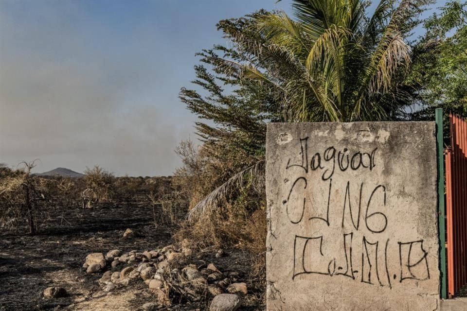 Cárteles entraron a la producción de limón y aguacate, de los sectores más lucrativos de la economía, para diversificar sus ingresos.