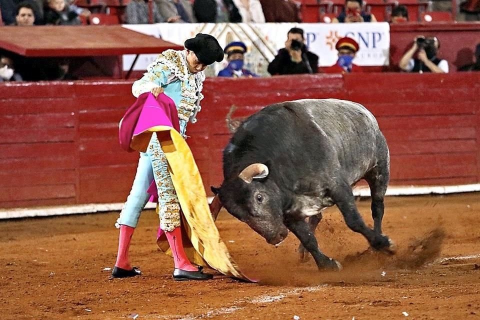 La Corte analiza pronunciamiento contra corridas de toros y peleas de gallos; además, prepara proyecto que despenaliza posesión de mariguana para autoconsumo.