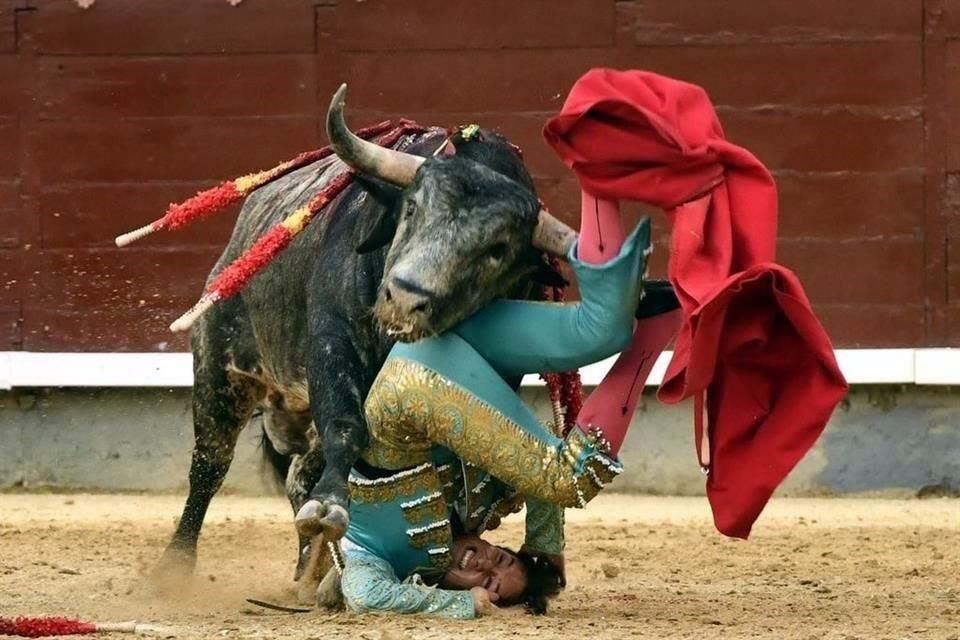 El toro embistió e hirió al mexicano durante la corrida.