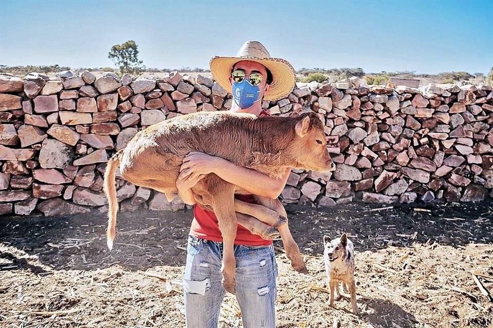 Puedes tener contacto con los animales y eso ayuda a reducir el estrés.