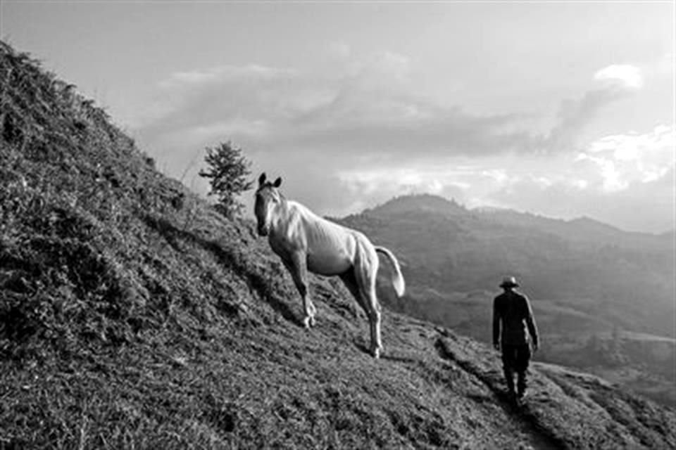 La obra de Massün puede apreciarse hasta el 7 de agosto en el Museo Archivo de la Fotografía, en Guatemala 34, Centro Histórico.