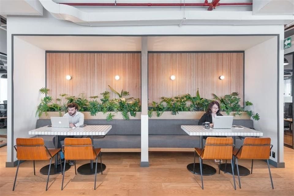 La Universidad Tecmilenio y la empresa WeWork abrieron dos hubs de educación en Artz Pedregal y torre Mitikah: los Campus Connect.