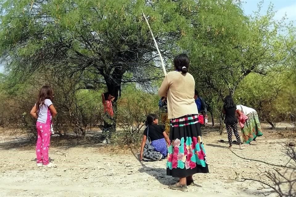 'Del monte y el río, espacios de sabiduría y soberanía alimentaria de los pueblos originarios y criollos del Chaco Salteño', de Estudios Interdisciplinarios en Educación Aborigen, de Argentina.