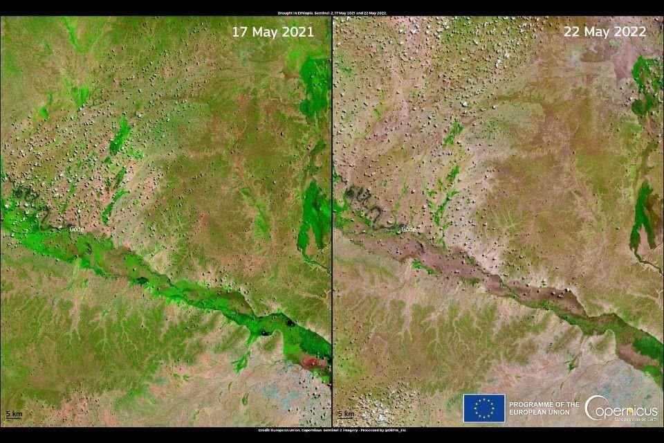 Goda, en Etiopía, experimenta sequía severa. Imágenes del 2021 y 2022.