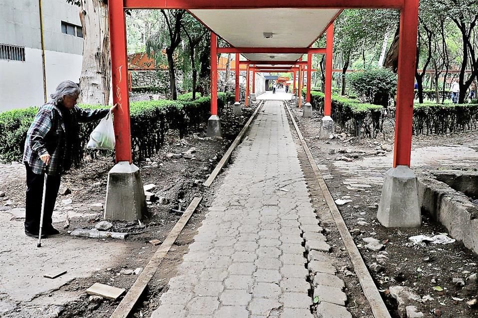 Corredores en mal estado y jardineras descuidadas evidencian el deterioro de la unidad habitacional.