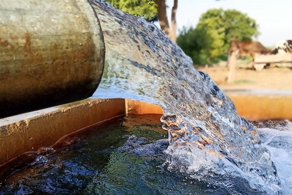 Las firmas sancionadas manejan la gestión y tratamiento del agua.