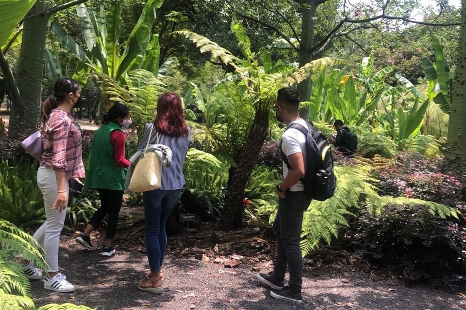 'Son senderos que van a conectar algunos puntos de la Barranca de Dolores, en la Tercera Sección, para que los visitantes comprendan el valor ambiental de una barranca', explicó la titular de Sedema.