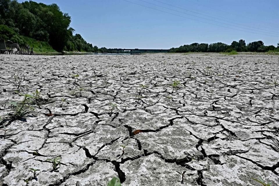 La Conagua decretó una nueva emergencia por sequía en estados del norte del País, con lo que se podrán reducir concesiones a usuarios para abastecer a poblaciones.