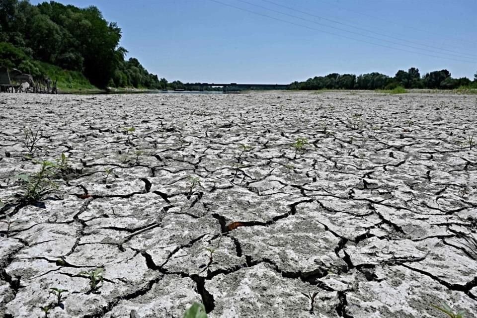 La Conagua decret una nueva emergencia por sequa en estados del norte del Pas, con lo que se podrn reducir concesiones a usuarios para abastecer a poblaciones.