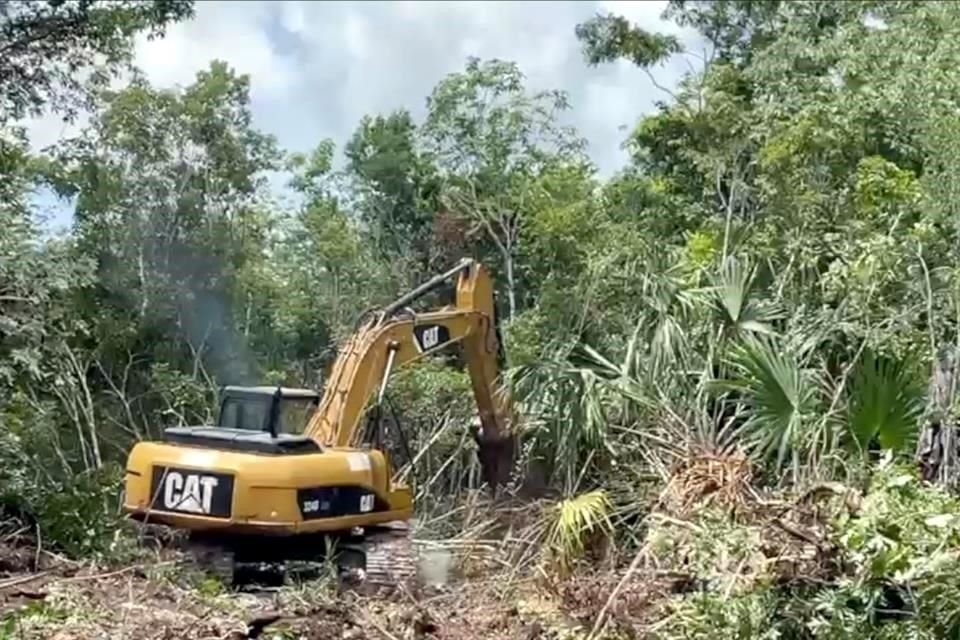 Las obras para la construcción del Tramo 5 del Tren Maya se llevan a cabo pese a la suspensión judicial.