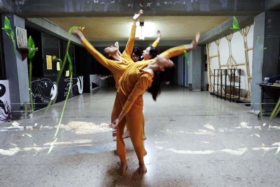 Emulando el movimiento de las plantas, Les Aterrades concibió una propuesta de videodanza con coreografía de Patrick Trigoso y Ana Paula Oropeza.