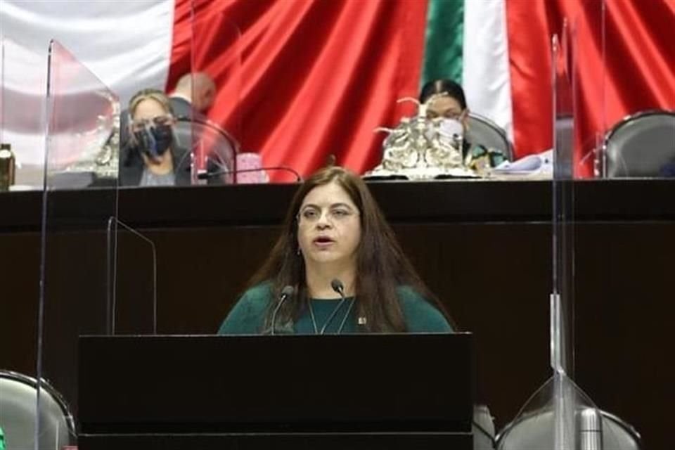 Hortensia Noroña, diputada del PRI, presidenta de la Comisión legislativa.