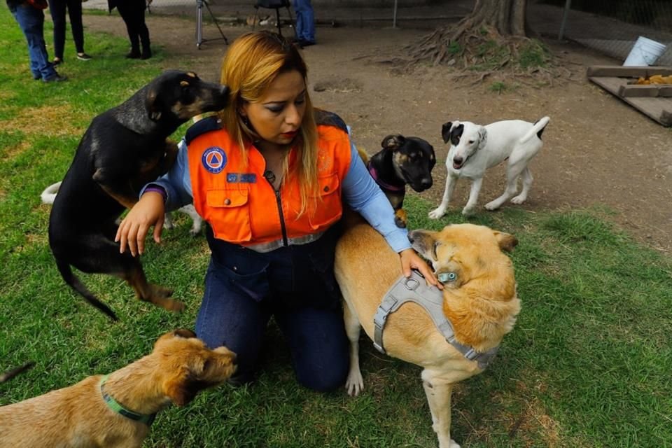 Los encargados invitan a los visitantes a que se den tiempo para pasear a los animales.