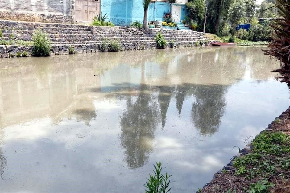 Pobladores de San Gregorio Atlapulco vieron un manantial con flora y fauna endémica convertirse en un canal de líquido gris.